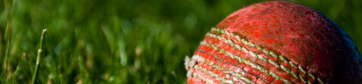 Cricket Balls