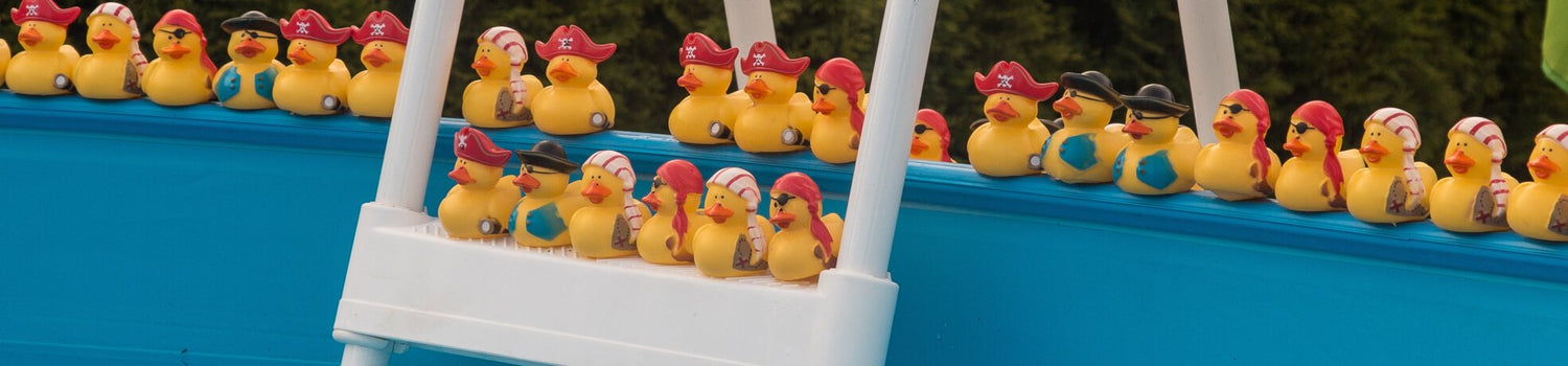 Swimming Pool Toys