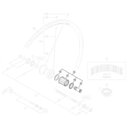 Shimano WH-R501-R Complete Bike Wheel Freehub Body Alternate 1