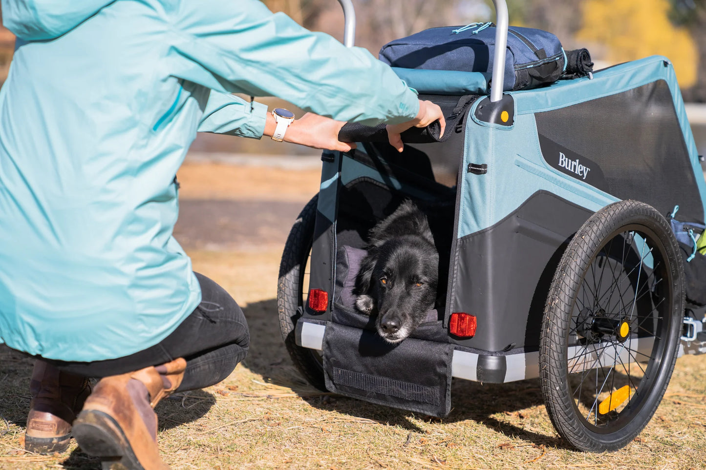 Burley Bark Ranger XL Bike Trailer for Dog