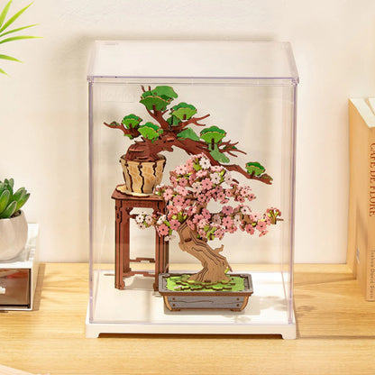 Rolife Clear Display Case Portrait Size M 3D Puzzle DF05L Alternate 3