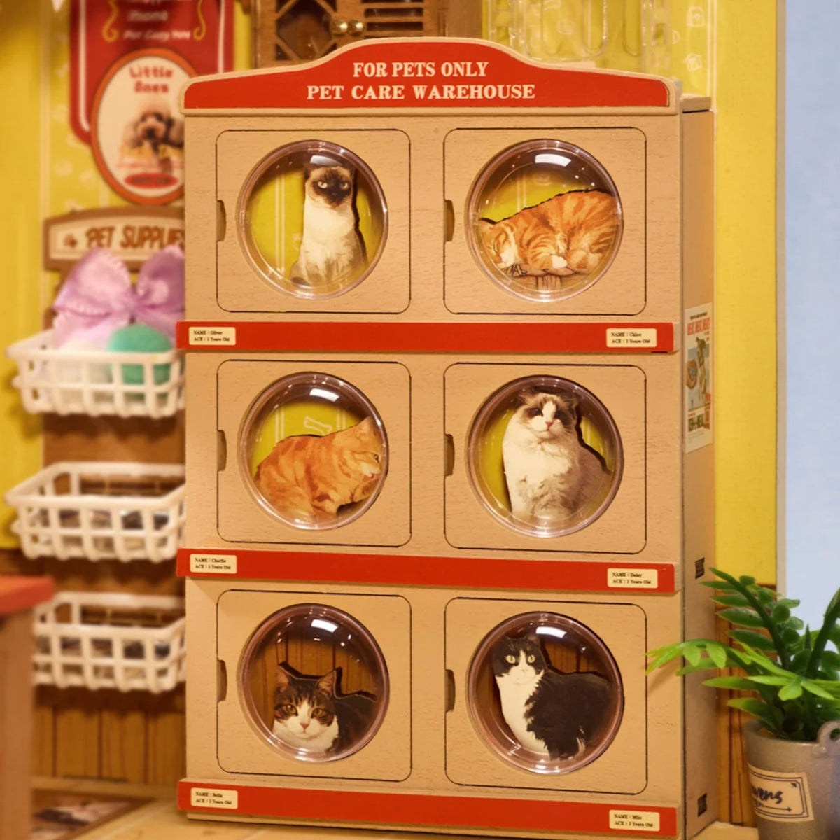 Rolife Fluffy Friends Store DIY Miniature House DG185 3D Puzzle Alternate 3
