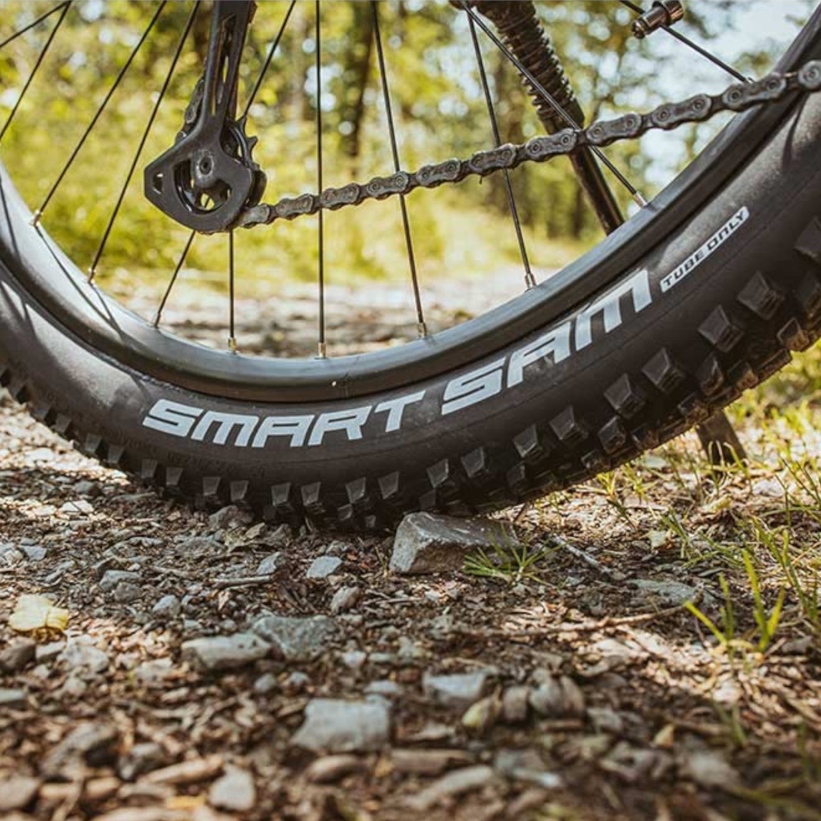 Schwalbe Smart Sam Performance DD 27.5 x 2.6 27.5 Inch Bike Tyre Folding Alternate 5