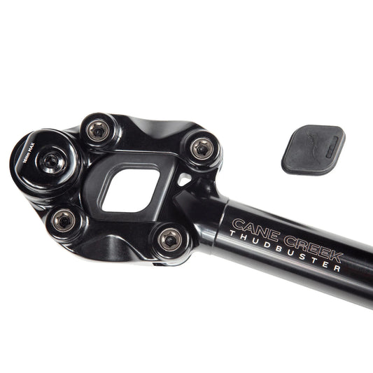 Cane Creek Thudbuster ST Suspension 31.6mm Bike Seatpost Alternate 2