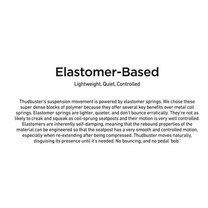 Cane Creek Thudbuster ST Suspension Seatpost 31.6 x 375mm