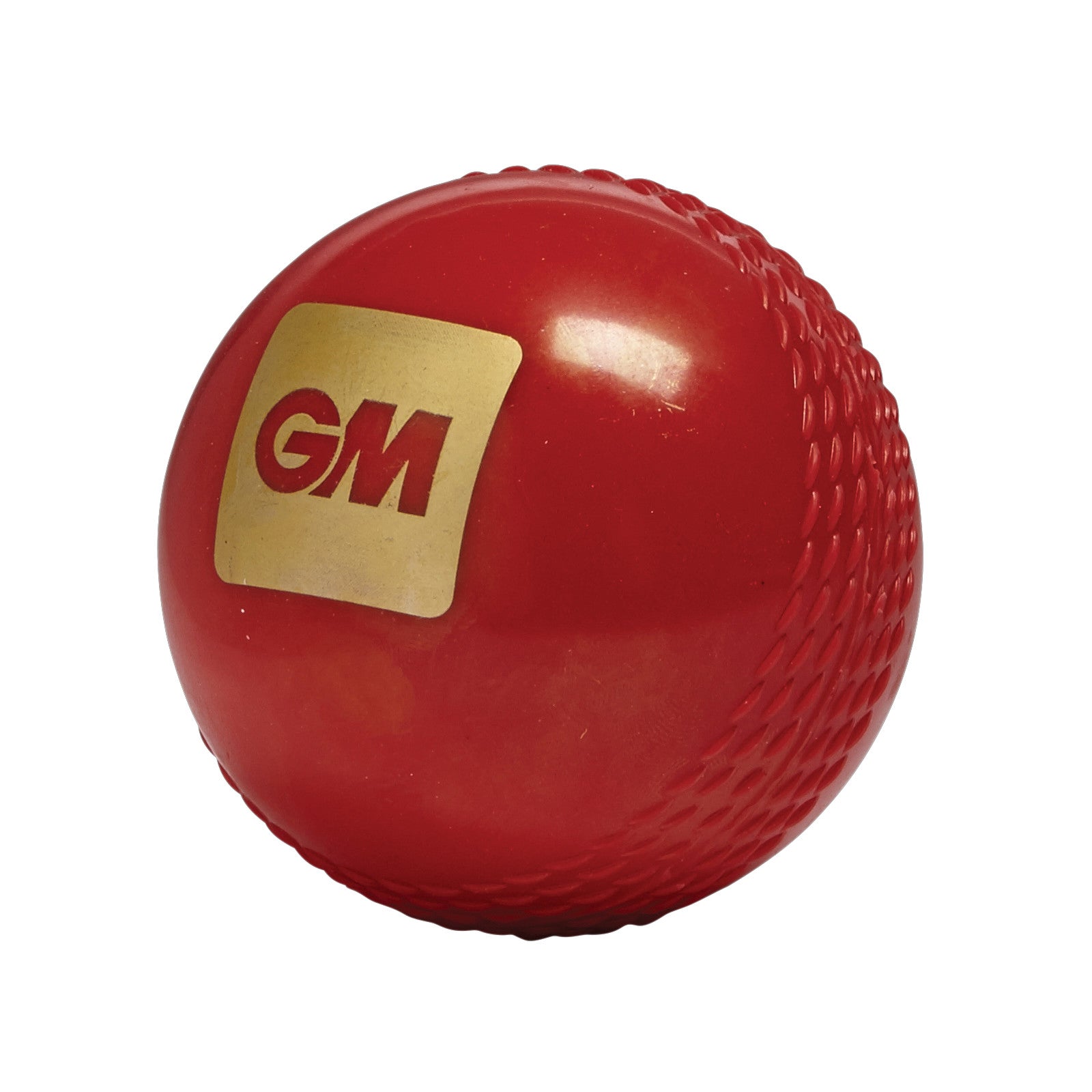 Gunn & Moore True Bounce Soft Cricket Ball